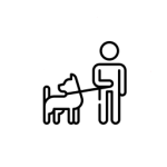 Training leashes